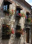 Window Boxes